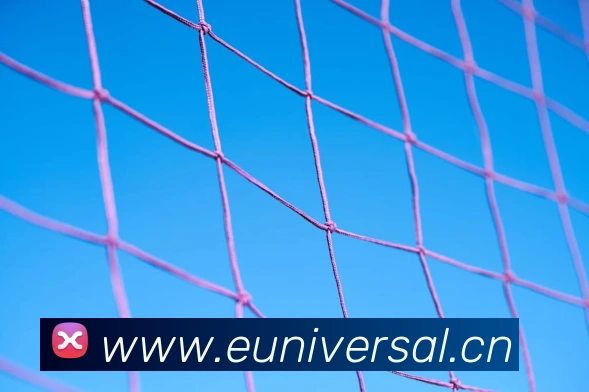 App Interface Preview