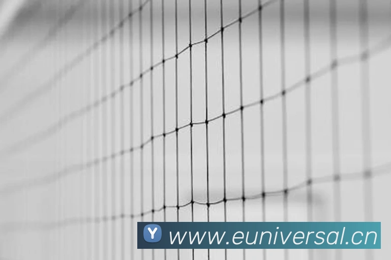 九游网站入口APP 封面图